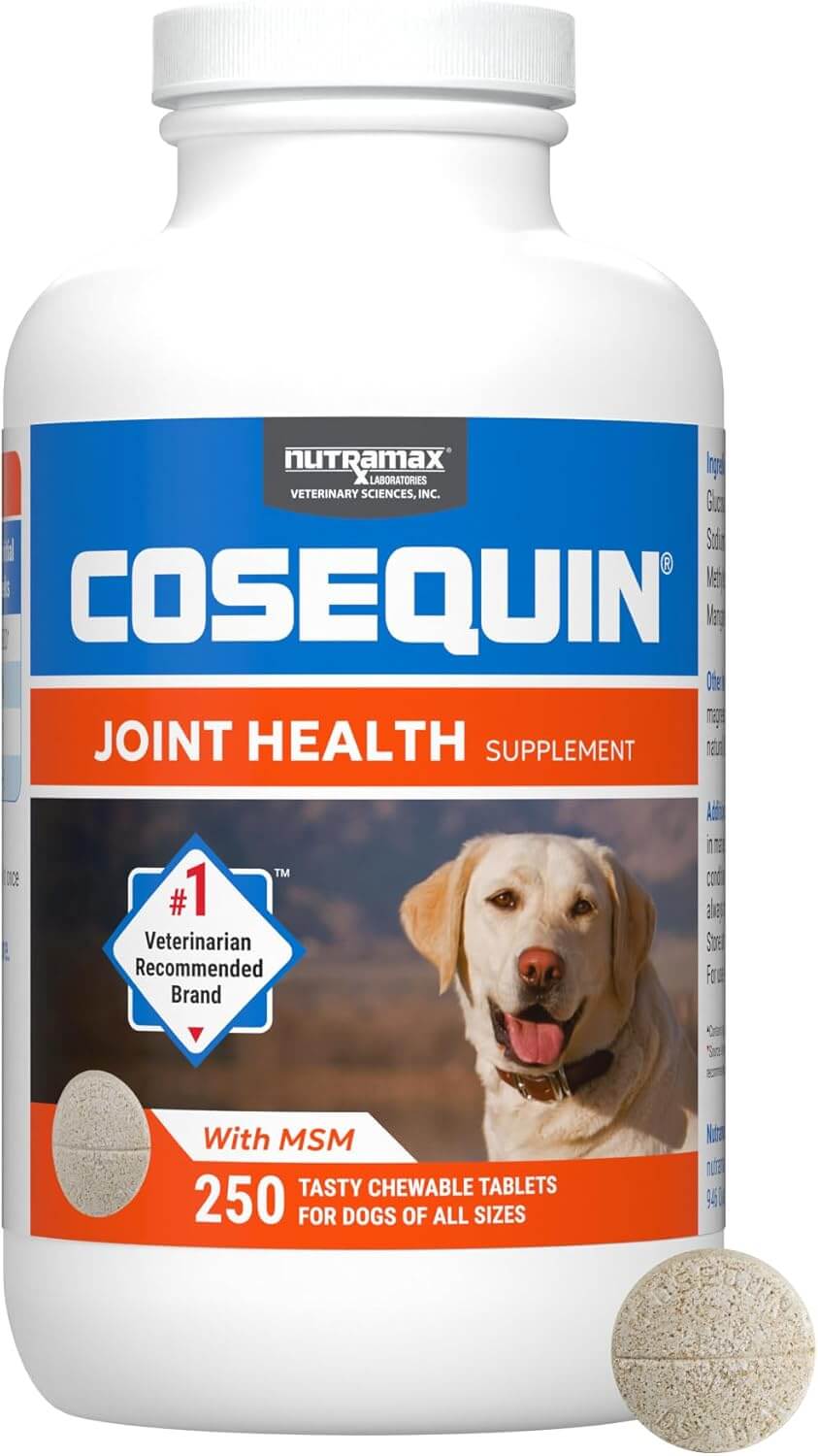Nutramax Cosequin DS Plus MSM - 250 Comprimidos