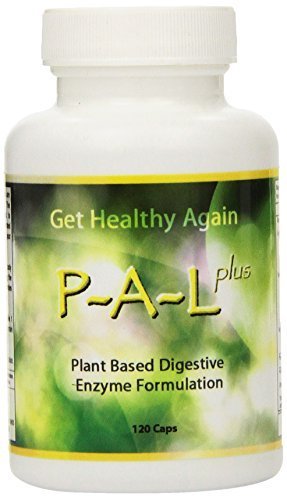 P-a-L Plus Plant Based Digestive Enzyme Formulation, 120 Capsules by ERC Enzymes