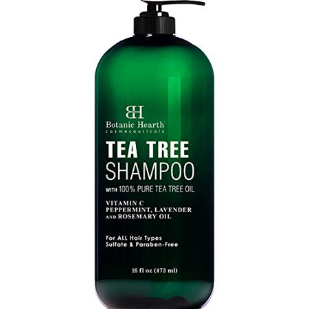  Botanic Hearth Tea Tree Shampoo, Vitamina C, Hortel-pimenta, leo de Lavanda e Alecrim, Combate a Caspa e Couro Cabeludo Seco, 16 Fl Oz