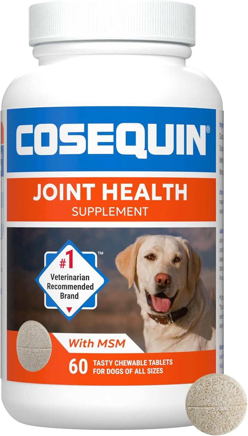 Nutramax Cosequin DS Plus MSM - 60 Comprimidos